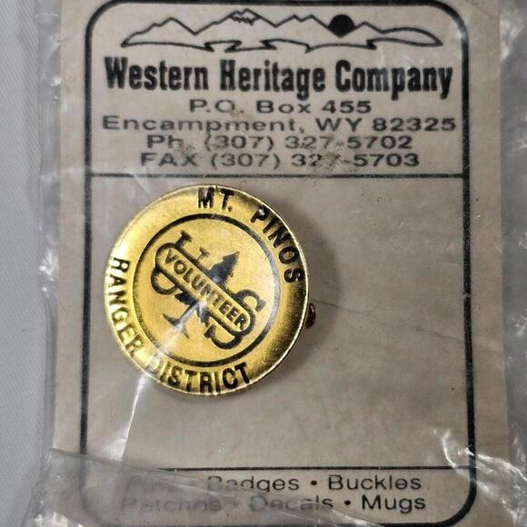 Vtg Mt Pinos Ranger District National Forest Service US Volunteer Pin Resin NFS